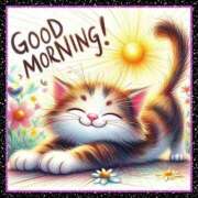 ヒメ日記 2025/08/07 04:05 投稿 ちはる SUZUME