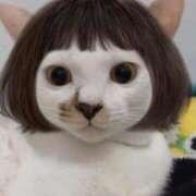 ヒメ日記 2025/08/12 19:29 投稿 ちはる SUZUME