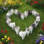 ヒメ日記 2025/08/19 19:36 投稿 ちはる SUZUME