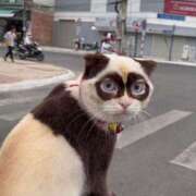 ヒメ日記 2025/08/28 19:08 投稿 ちはる SUZUME