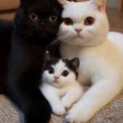 ヒメ日記 2025/08/30 18:22 投稿 ちはる SUZUME