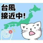 ヒメ日記 2025/09/04 06:30 投稿 ちはる SUZUME