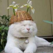 ヒメ日記 2025/09/05 15:53 投稿 ちはる SUZUME