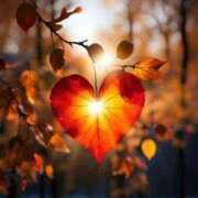 ヒメ日記 2025/09/18 18:54 投稿 ちはる SUZUME