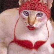 ヒメ日記 2025/09/19 18:49 投稿 ちはる SUZUME