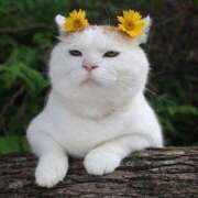 ヒメ日記 2025/09/22 19:09 投稿 ちはる SUZUME