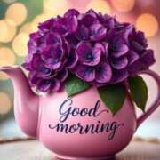 ヒメ日記 2025/09/25 06:00 投稿 ちはる SUZUME