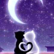 ヒメ日記 2025/09/27 04:33 投稿 ちはる SUZUME