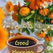 ヒメ日記 2025/10/04 06:18 投稿 ちはる SUZUME