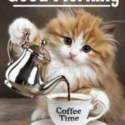 ヒメ日記 2025/10/06 05:21 投稿 ちはる SUZUME