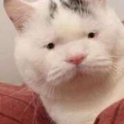 ヒメ日記 2025/10/07 17:20 投稿 ちはる SUZUME