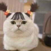 ヒメ日記 2025/10/09 06:56 投稿 ちはる SUZUME