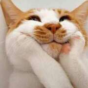 ヒメ日記 2025/11/02 15:44 投稿 ちはる SUZUME