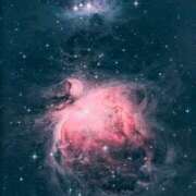 ヒメ日記 2025/11/22 20:08 投稿 ちはる SUZUME