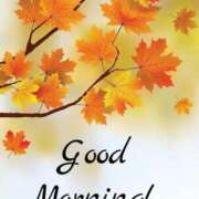 ヒメ日記 2025/11/26 06:51 投稿 ちはる SUZUME