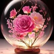 ヒメ日記 2025/12/09 07:21 投稿 ちはる SUZUME