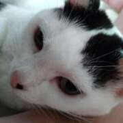 ちはる おはようございます(⁠ ⁠╹⁠▽⁠╹⁠ ⁠) SUZUME