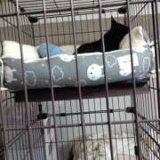 ヒメ日記 2025/12/20 08:48 投稿 ちはる SUZUME