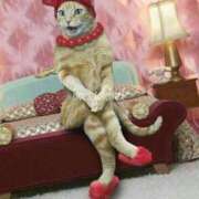 ちはる こんばんは(⁠ ⁠╹⁠▽⁠╹⁠ ⁠) SUZUME