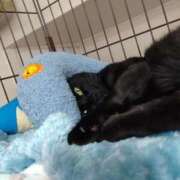 ちはる おはようございます(⁠θ⁠‿⁠θ⁠) SUZUME