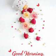 ヒメ日記 2025/12/26 08:31 投稿 ちはる SUZUME