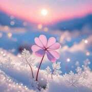 ヒメ日記 2026/01/10 17:33 投稿 ちはる SUZUME