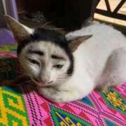 ヒメ日記 2026/01/24 20:49 投稿 ちはる SUZUME