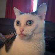 ヒメ日記 2026/01/29 15:27 投稿 ちはる SUZUME