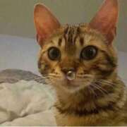 ヒメ日記 2026/01/30 16:45 投稿 ちはる SUZUME