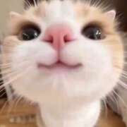 ヒメ日記 2026/02/07 19:15 投稿 ちはる SUZUME