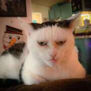 ヒメ日記 2026/02/14 17:32 投稿 ちはる SUZUME