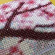 ヒメ日記 2026/03/07 16:01 投稿 ちはる SUZUME