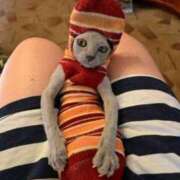 ヒメ日記 2026/03/08 16:21 投稿 ちはる SUZUME