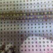 ヒメ日記 2026/03/17 10:30 投稿 ちはる SUZUME