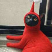 ヒメ日記 2026/03/21 21:02 投稿 ちはる SUZUME