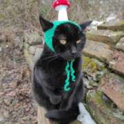 ヒメ日記 2026/03/28 21:52 投稿 ちはる SUZUME