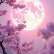 ヒメ日記 2026/04/04 19:31 投稿 ちはる SUZUME