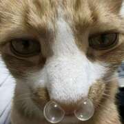 ヒメ日記 2026/04/07 21:02 投稿 ちはる SUZUME