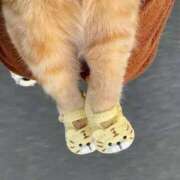 ヒメ日記 2026/04/13 15:13 投稿 ちはる SUZUME