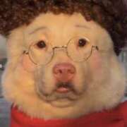 ヒメ日記 2026/04/13 19:25 投稿 ちはる SUZUME