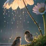 ヒメ日記 2026/04/14 21:15 投稿 ちはる SUZUME