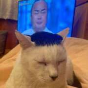 ヒメ日記 2026/04/16 15:54 投稿 ちはる SUZUME