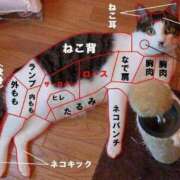ヒメ日記 2026/05/13 22:10 投稿 ちはる SUZUME