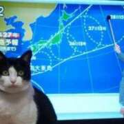 ヒメ日記 2026/06/02 14:45 投稿 ちはる SUZUME