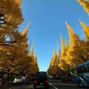 ヒメ日記 2024/12/13 15:46 投稿 みやび SUZUME