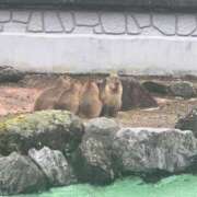 ヒメ日記 2024/12/21 15:58 投稿 みやび SUZUME