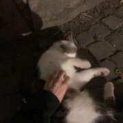 ヒメ日記 2025/03/02 13:45 投稿 みやび SUZUME