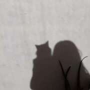 ヒメ日記 2025/03/29 13:45 投稿 みやび SUZUME