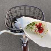 ヒメ日記 2025/04/05 13:42 投稿 みやび SUZUME