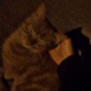 ヒメ日記 2025/04/06 13:55 投稿 みやび SUZUME